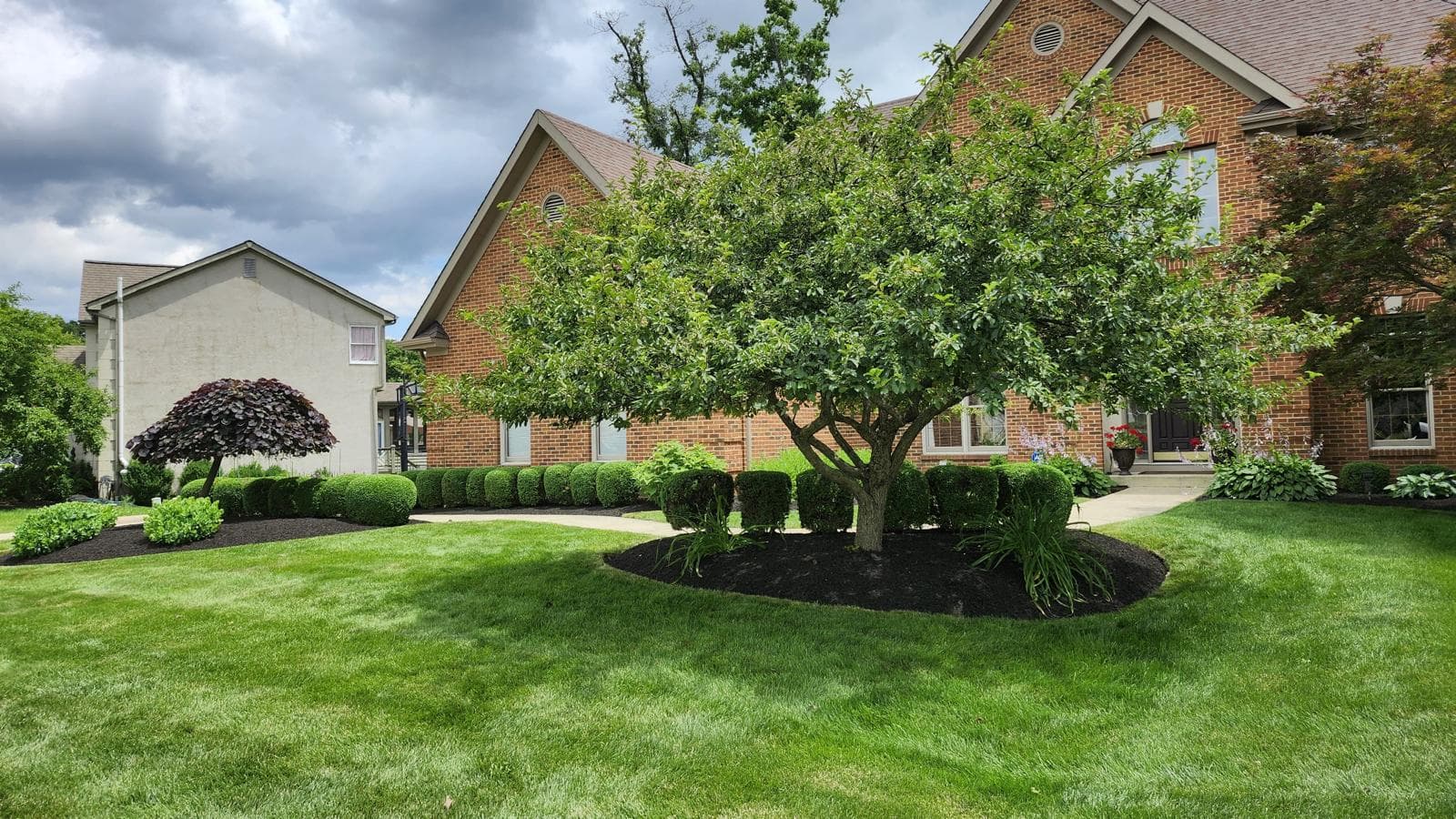 Lush green lawn featuring a central tree, trimmed hedges, and a two-story brick home.