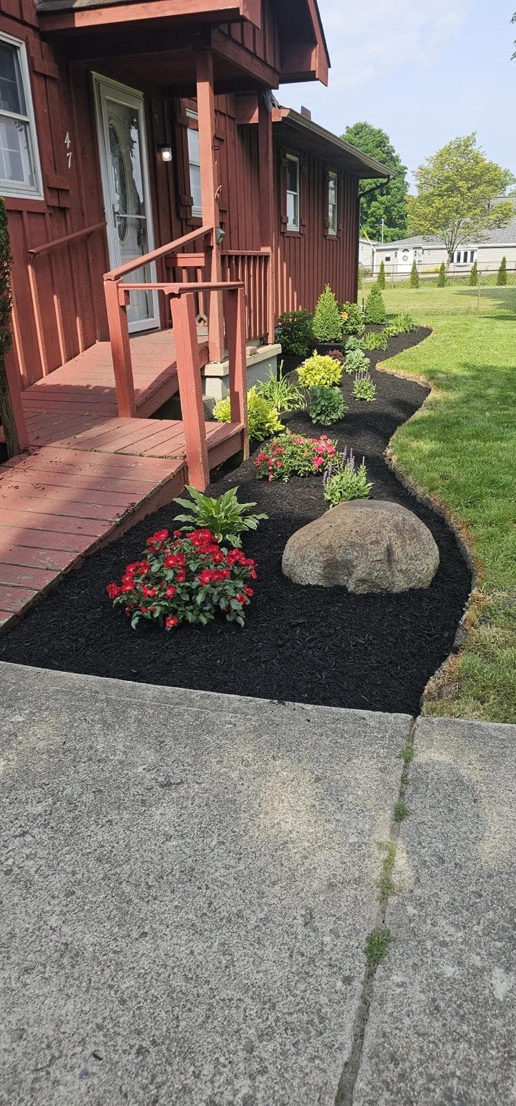 Landscaped garden bed with black mulch, red flowers, and a large rock beside red house.