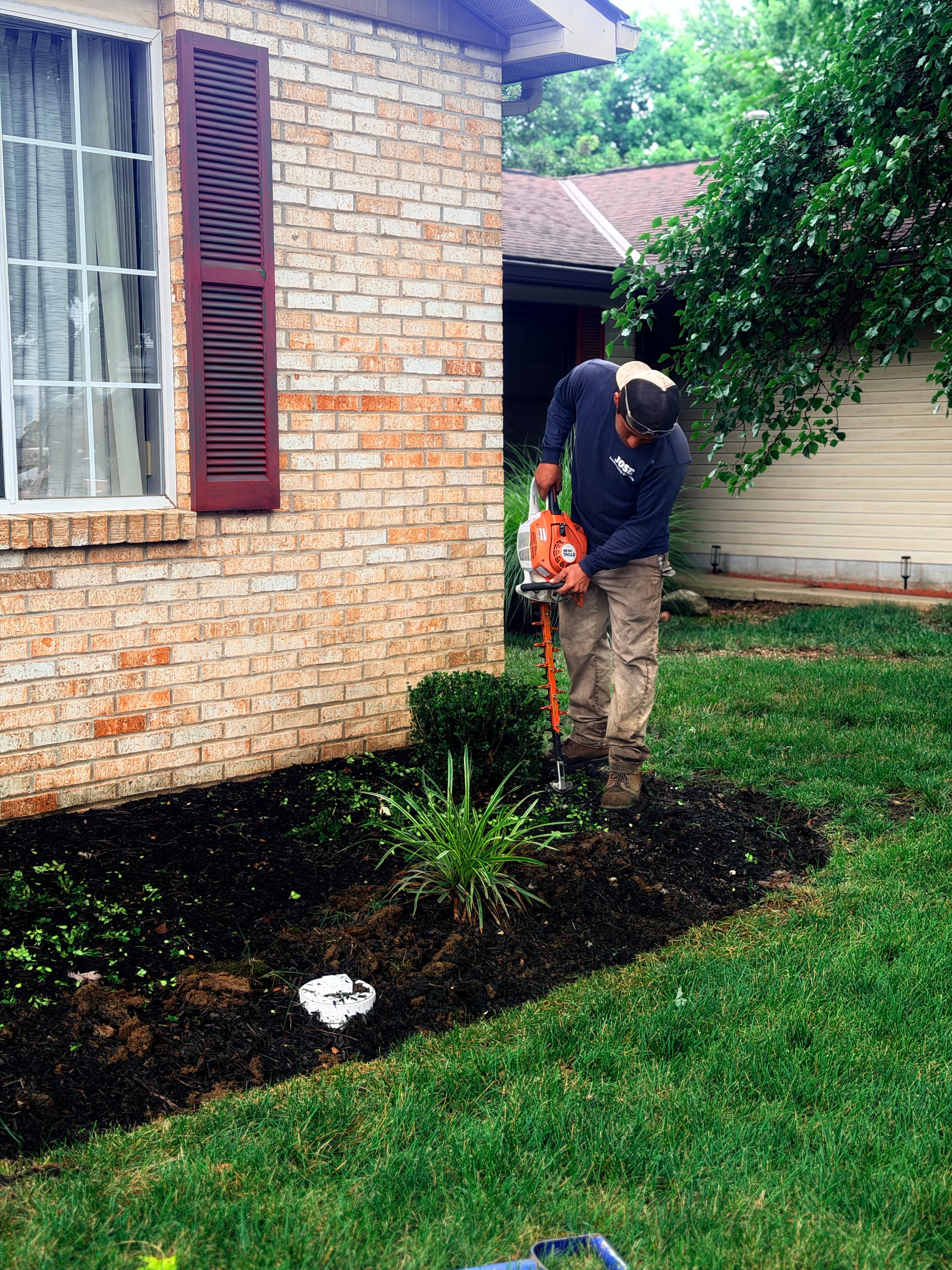 Man uses an orange hedge trimmer on a small shrub in a mulched garden bed.